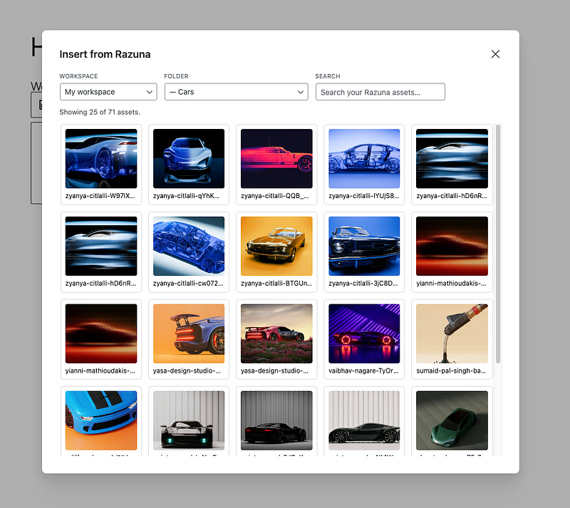 Razuna DAM in Wordpress