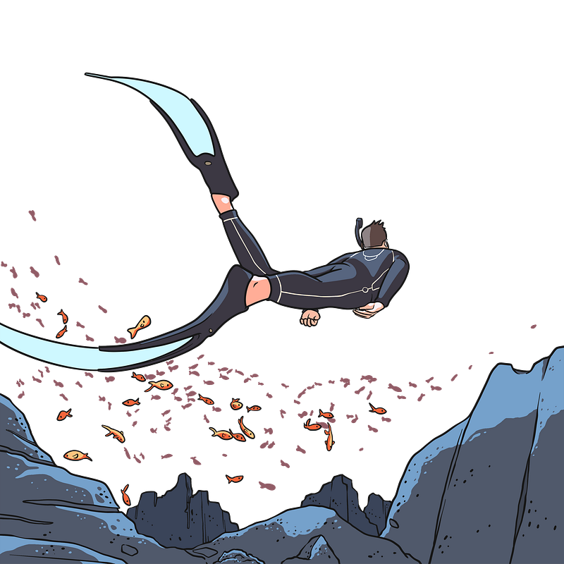 snorkler swimming above a school of fish
